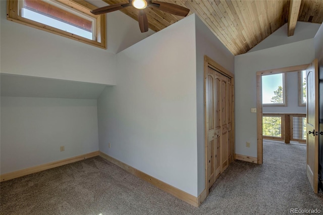 258 Gold Trail Cutoff, Fairplay, CO 80440 - photo 31