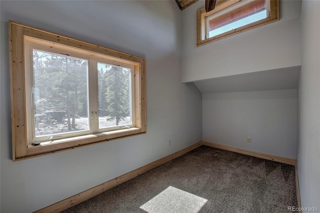 258 Gold Trail Cutoff, Fairplay, CO 80440 - photo 32