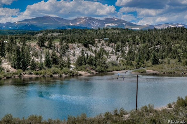 258 Gold Trail Cutoff, Fairplay, CO 80440 - photo 49