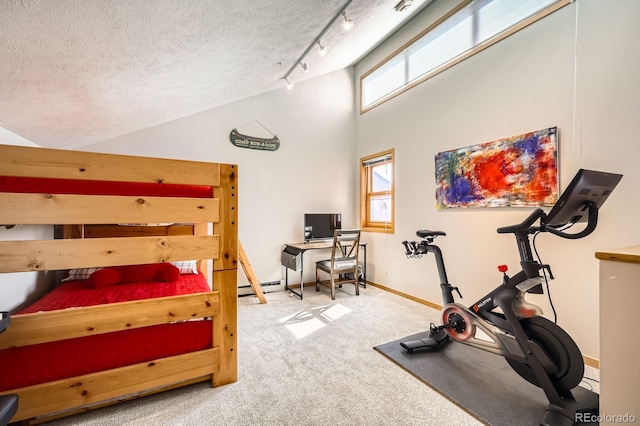 91400 Ryan Gulch Rd Unit 91427, Silverthorne, CO 80498 - interior space featuring baseboard heating, baseboards, a textured ceiling, lofted ceiling, and carpet