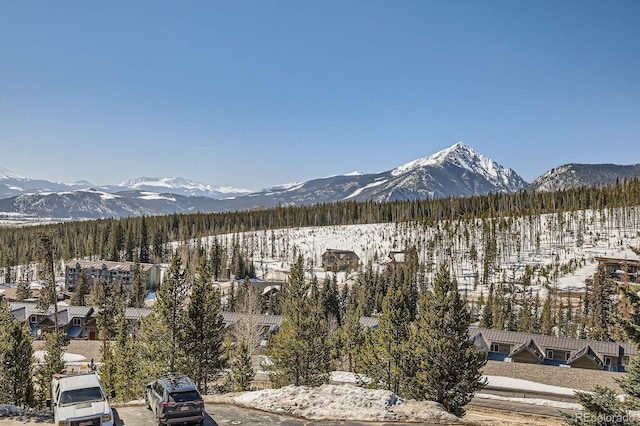 91400 Ryan Gulch Rd Unit 91427, Silverthorne, CO 80498 - property view of mountains