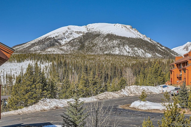 91400 Ryan Gulch Rd Unit 91427, Silverthorne, CO 80498 - property view of mountains