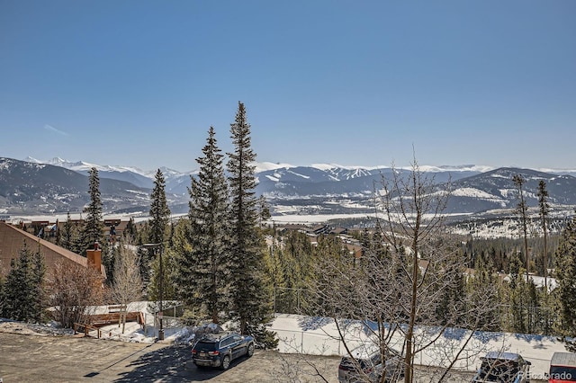 91400 Ryan Gulch Rd Unit 91427, Silverthorne, CO 80498 - property view of mountains