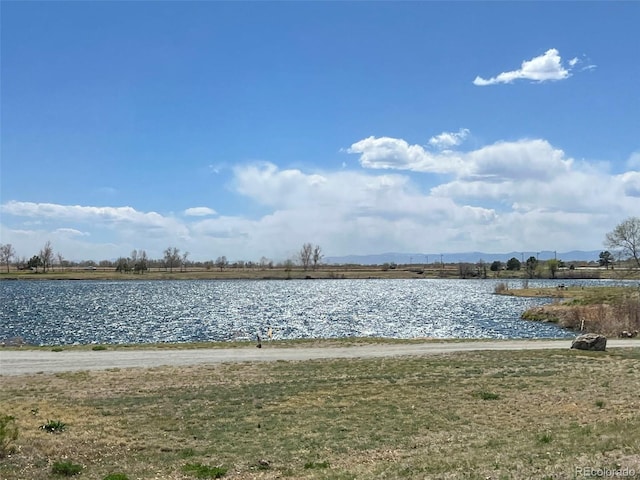 view of water feature