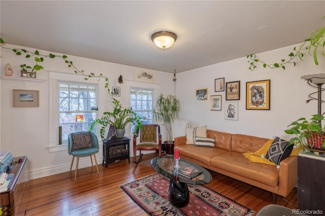 living room with hardwood / wood-style flooring