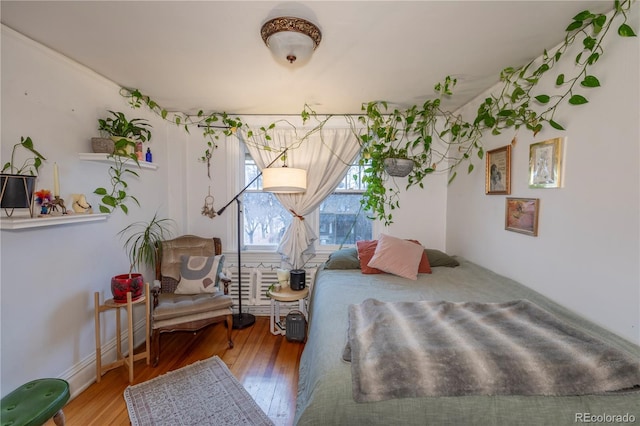 bedroom with wood-type flooring