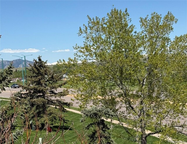 view of local wilderness with mountains