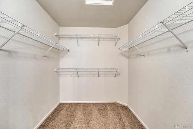 walk in closet with carpet