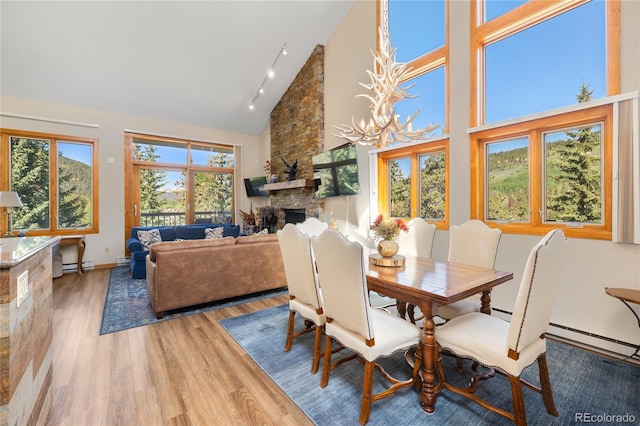22300 US Highway 6 Unit 1746, Dillon, CO 80435 - dining space with a baseboard radiator, light wood-style flooring, high vaulted ceiling, a fireplace, and rail lighting