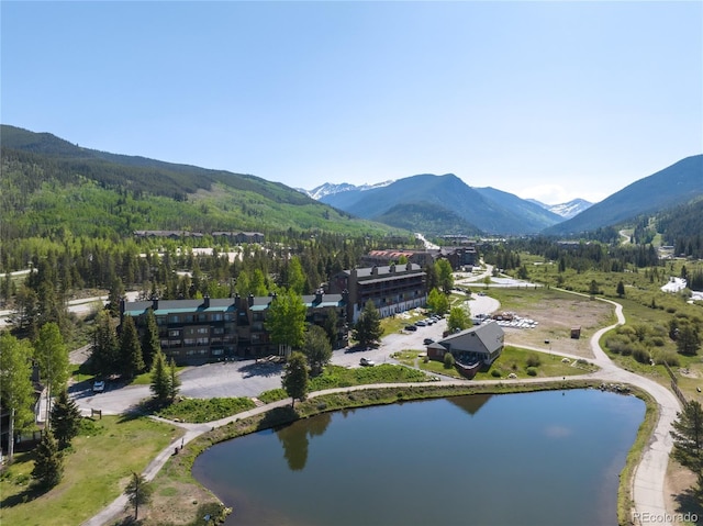 22300 US Highway 6 Unit 1746, Dillon, CO 80435 - bird's eye view of a water and mountain view and a forest