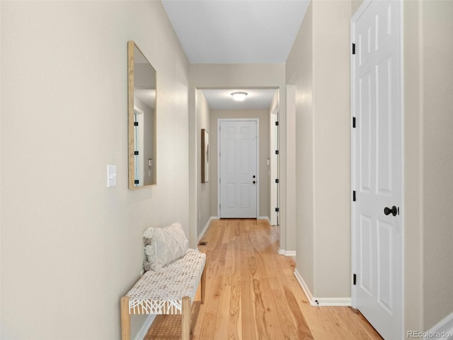 41 Garner Ln, Erie, CO 80516 - hallway with light wood finished floors and baseboards