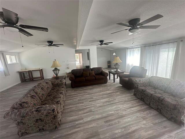 living room featuring vaulted ceiling, a textured ceiling, baseboards, and wood finished floors