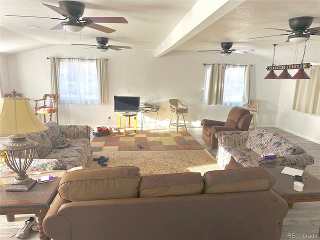 916 N Cameron St, Brush, CO 80723 - photo 11