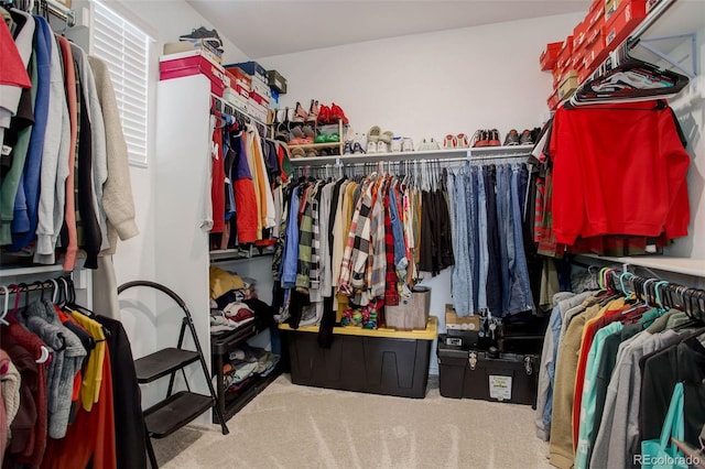 walk in closet with carpet