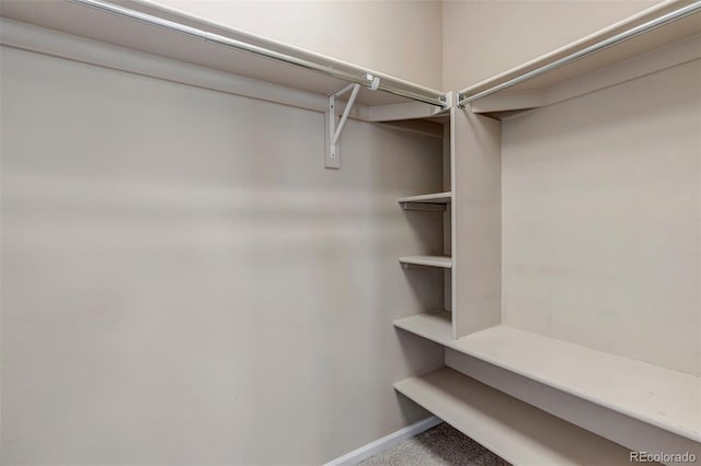 4646 Walden Ct, Denver, CO 80249 - photo 28