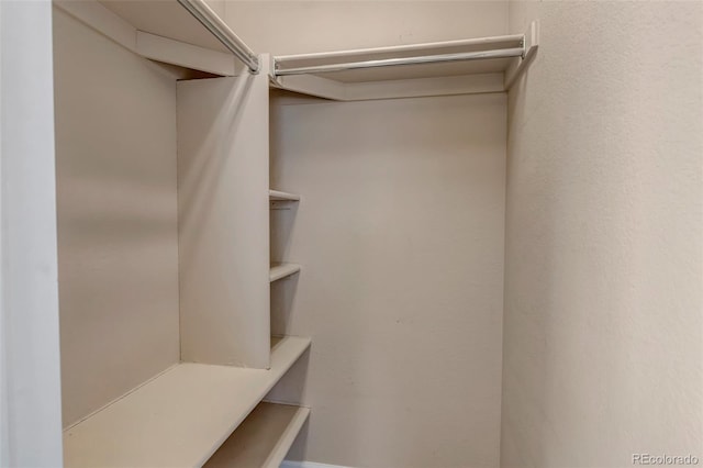 4646 Walden Ct, Denver, CO 80249 - photo 29