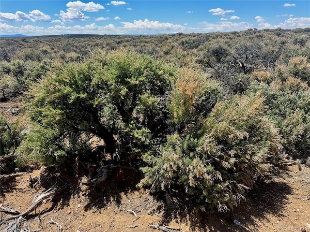LOT3 E Jasper Dr, San Luis, CO 81152