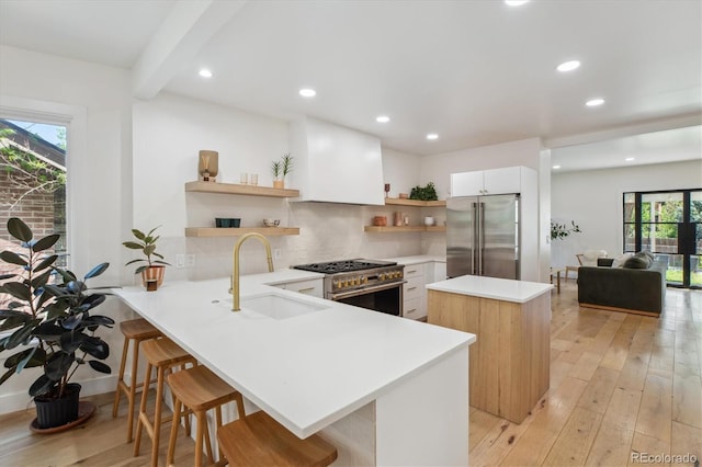 2844 Quitman St, Denver, CO 80212 - kitchen with high quality appliances, a sink, open shelves, tasteful backsplash, and light wood finished floors