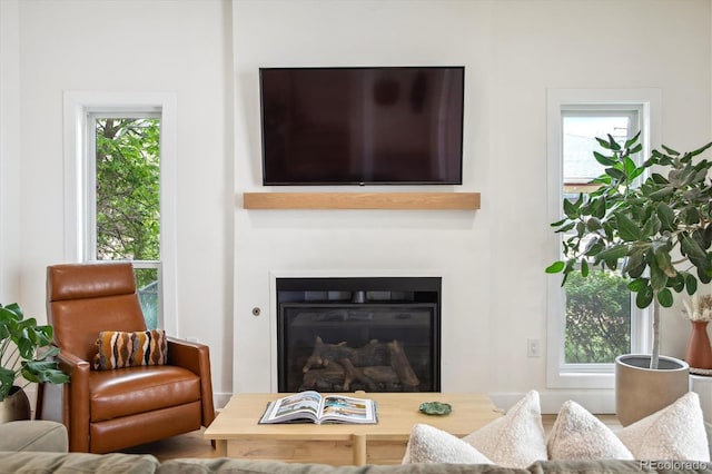 2844 Quitman St, Denver, CO 80212 - living area with healthy amount of natural light and a glass covered fireplace