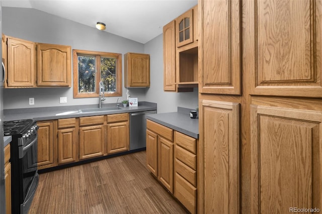 32252 Steven Way, Conifer, CO 80433 - kitchen featuring appliances with stainless steel finishes, lofted ceiling, dark wood finished floors, dark countertops, and glass insert cabinets
