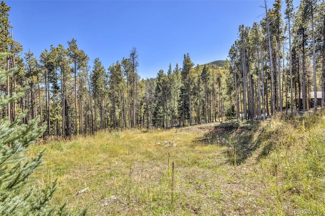 32252 Steven Way, Conifer, CO 80433 - view of wooded area