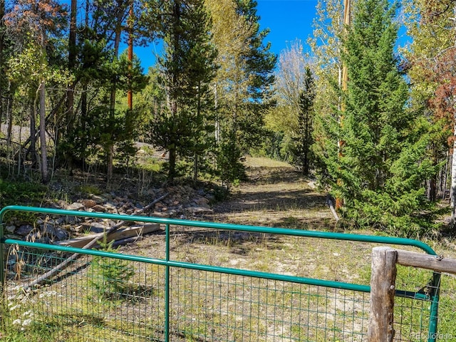 32252 Steven Way, Conifer, CO 80433 - view of yard
