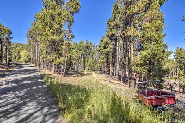 32252 Steven Way, Conifer, CO 80433 - view of road featuring a view of trees