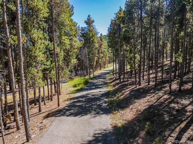 32252 Steven Way, Conifer, CO 80433 - view of road with a forest view