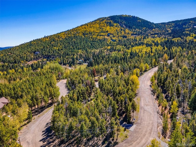 32252 Steven Way, Conifer, CO 80433 - drone / aerial view of a forest and a mountainous background