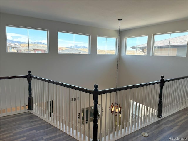 9482 Kendrick Way, Arvada, CO 80007 - staircase with wood finished floors