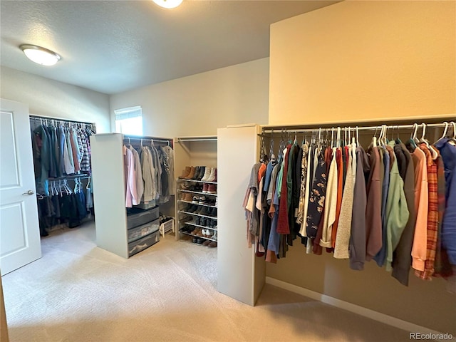 9482 Kendrick Way, Arvada, CO 80007 - walk in closet featuring carpet floors