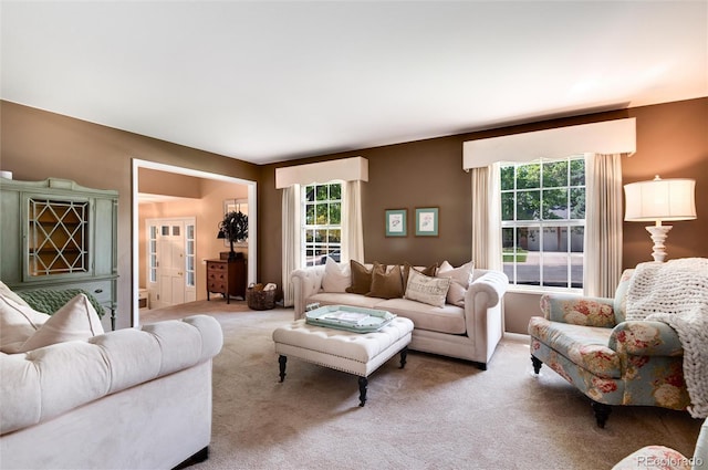 6624 S Sycamore St, Littleton, CO 80120 - living room with carpet