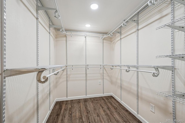 walk in closet featuring dark wood-style floors