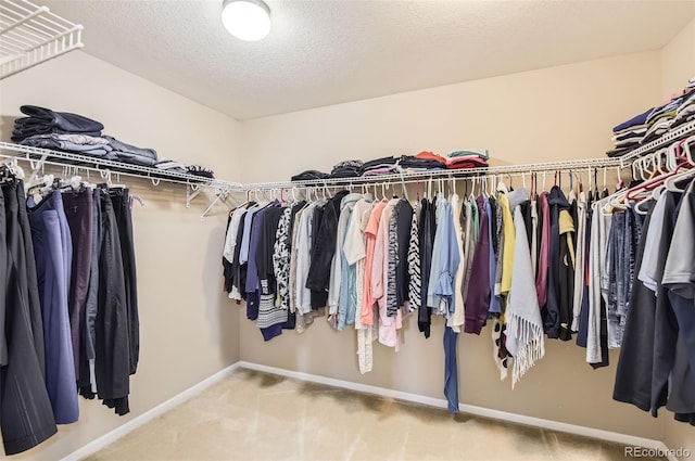 walk in closet with carpet flooring
