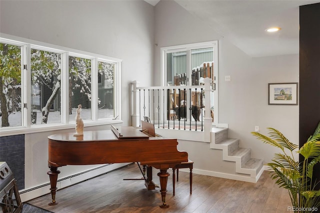 miscellaneous room with wood-type flooring and a wealth of natural light