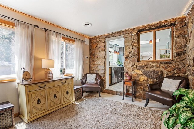 4364 Colorado 103, Idaho Springs, CO 80452 - photo 10