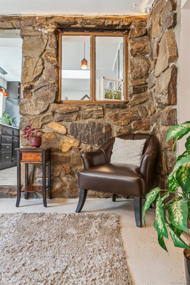 4364 Colorado 103, Idaho Springs, CO 80452 - photo 14