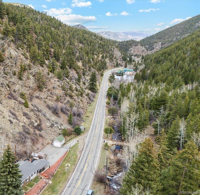 4364 Colorado 103, Idaho Springs, CO 80452 - photo 49