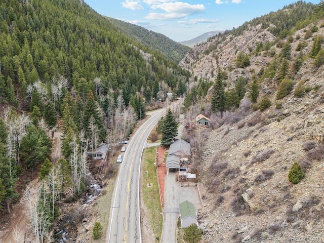 4364 Colorado 103, Idaho Springs, CO 80452 - photo 48