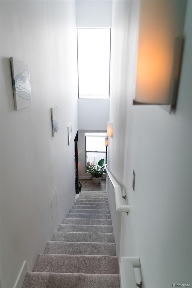 2565 Champa St, Denver, CO 80205 - staircase featuring carpet floors and a towering ceiling