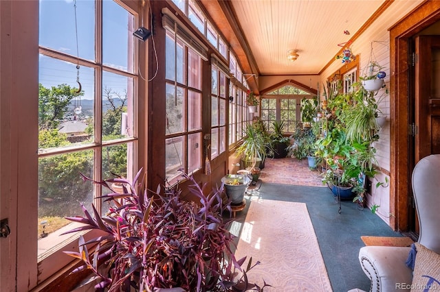 1133 Alta St, Trinidad, CO 81082 - photo 27