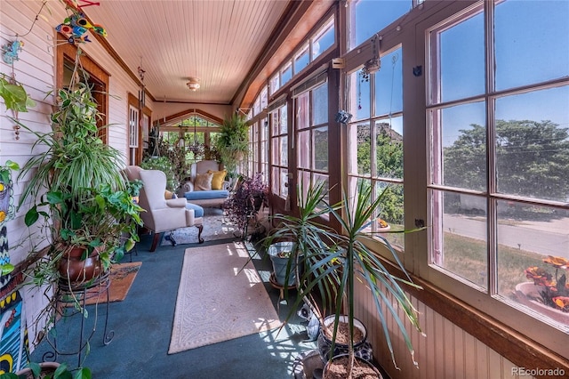1133 Alta St, Trinidad, CO 81082 - photo 28