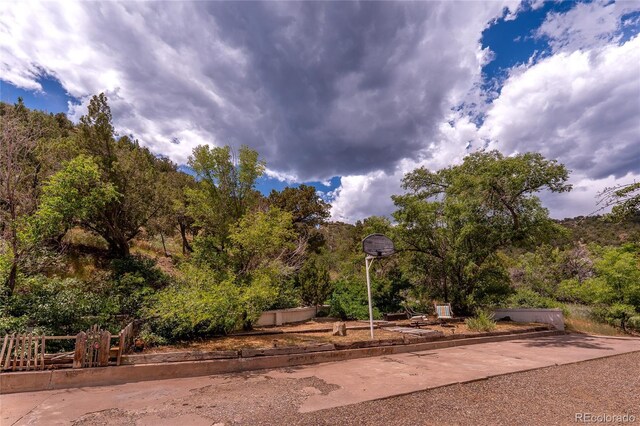 1133 Alta St, Trinidad, CO 81082 - photo 40