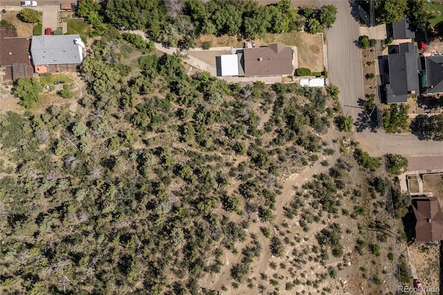 1133 Alta St, Trinidad, CO 81082 - photo 43