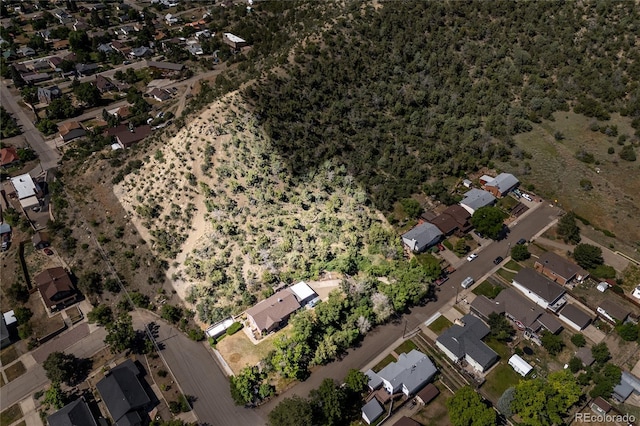 1133 Alta St, Trinidad, CO 81082 - photo 44
