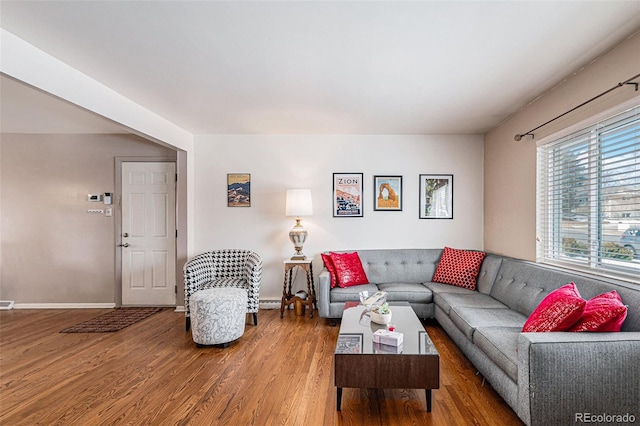 living room featuring wood-type flooring