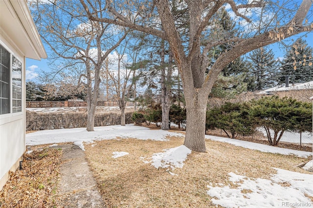 view of snowy yard