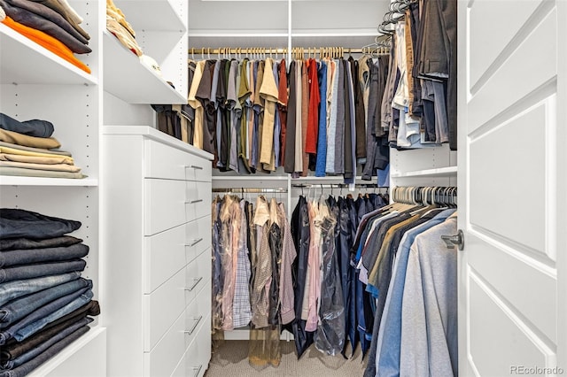 174 Rockingham Cir, Castle Pines, CO 80108 - walk in closet featuring carpet flooring
