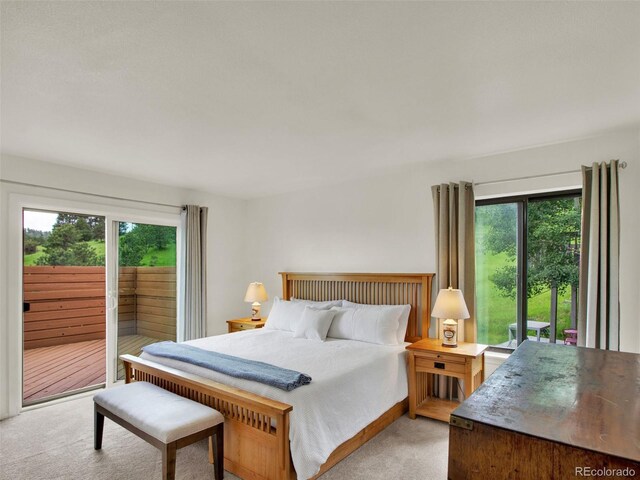 953 Gilia Dr, Golden, CO 80401 - photo 19