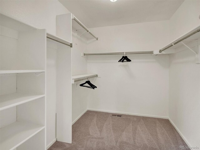 953 Gilia Dr, Golden, CO 80401 - photo 21